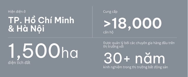 Viva Land's capabilities are introduced on the business website.