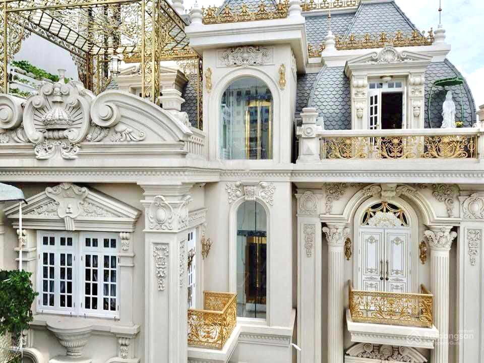 Bán biệt thự đường Nguyễn Đình Chiểu, Quận 1